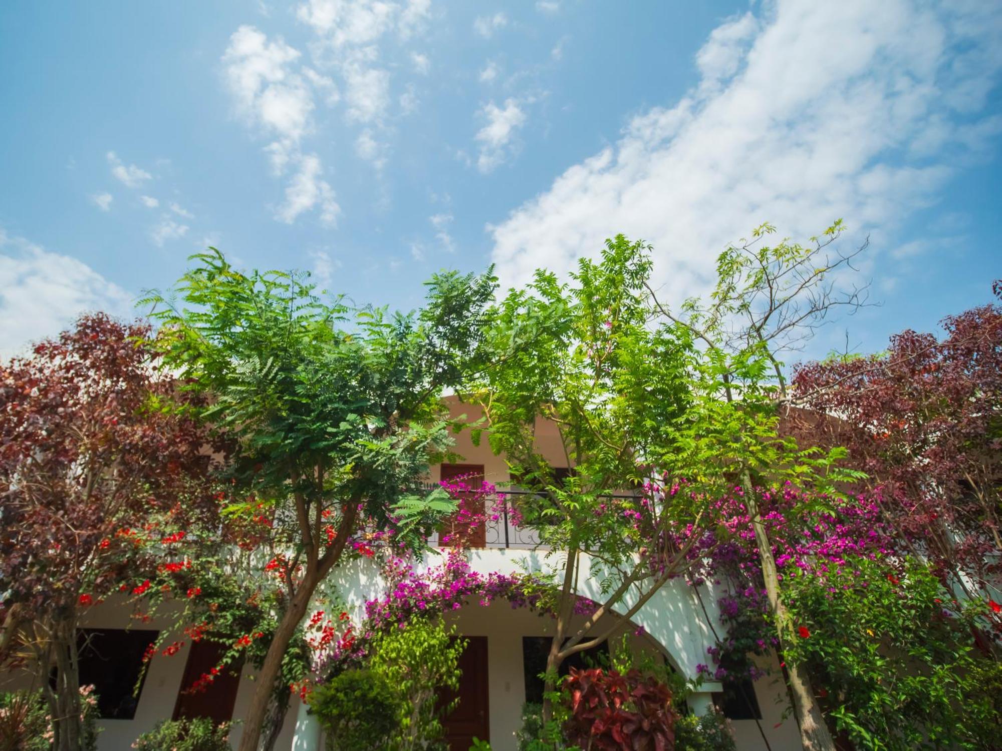 Casa Hotel Mamaluna Lunahuana Ngoại thất bức ảnh
